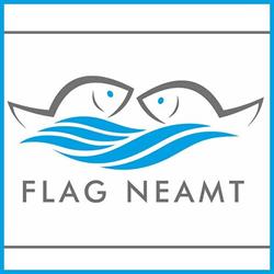 FLAG Neamt, Săvineşti