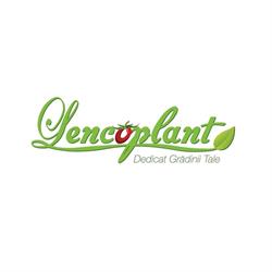 LENCOPLANT IZBICENI, Izbiceni