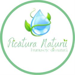 Picatura Naturii, Timişoara