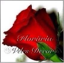 Floraria Veles Decor, Mangalia
