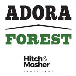 Adora Forest, Timişoara