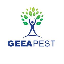 TEHNO GEEAPEST, Dej