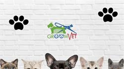 GroomVet - Cosmetica si Frizerie Canina si Felina, servicii Veterinare, Bucureşti
