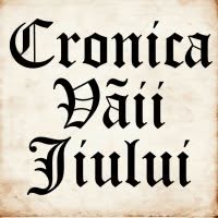 Cronica Vaii Jiului, Petroşani