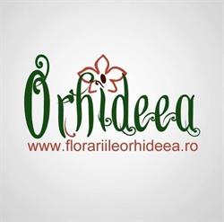 Florăria Orhideea Vaslui