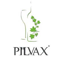 Pilvax, Braşov
