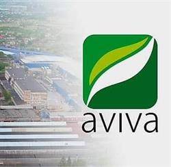 SC AVIVA SRL, Sighetu Marmaţiei