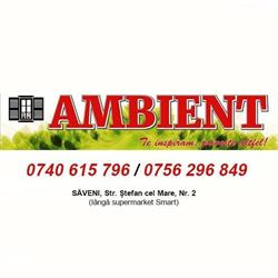 Ambient Saveni