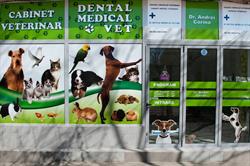 Dental Medical Vet, Bucureşti