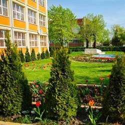 Scoala Gimnazială 'Mihai Eminescu' Roşiorii de Vede, Roşiori de Vede