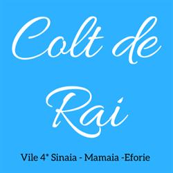 Vila Colt de Rai Eforie Nord