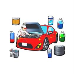 Total Auto Serv, Jilava