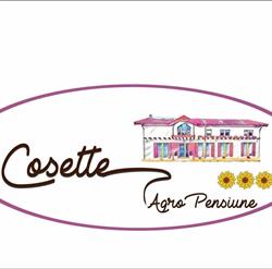 AgroPensiune Cosette, Benic