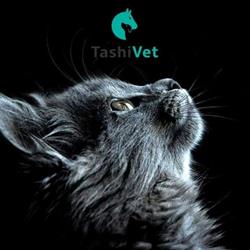 Cabinet veterinar si Salon toaletaj TASHI VET, Cluj-Napoca