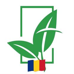 Biserica Baptistă Locală Timişoara
