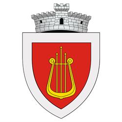 Primăria Ciprian Porumbescu