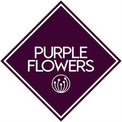 Purple Flowers, Bucureşti