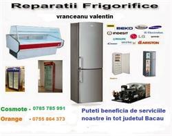Reparaţii frigidere Bacău