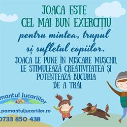 Pamantul Jucariilor Srl, Floreşti