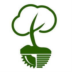 FORESTFALT SERVICII SRL, Fălticeni