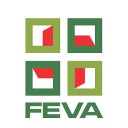 International Feva, Baia Mare