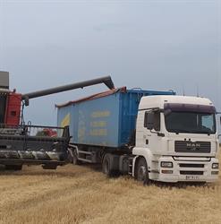 Regan Trans - Transport Marfa, Răchiţi