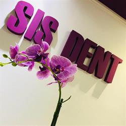 SIS Dent, Timişoara