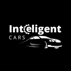 Inteligent Cars, Bragadiru