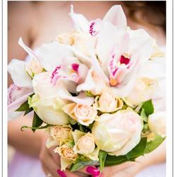 Anastasia Boutique des fleures, Ploieşti