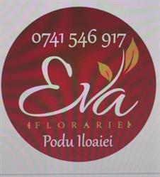 Florăria Eva, Podu Iloaiei