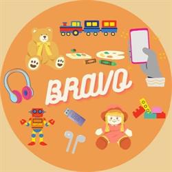 Sc. Bravo Srl, Câmpulung Moldovenesc
