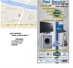 Paul Service, Satu Mare
