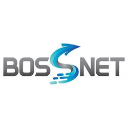 Bossnet - Agentie Web Design, Suceava