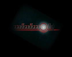 Minimold International, Timişoara