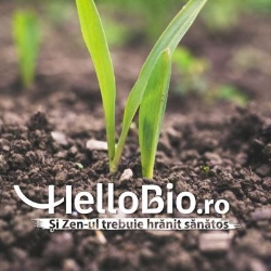 HelloBio, Breaza