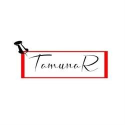 VNL TAMUNAR COMPLETE SERVICES SRL, Iaşi