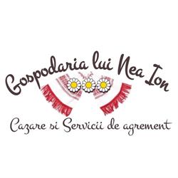 Gospodaria lui Nea Ion, Vama Buzăului