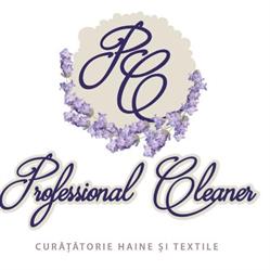 Professional Cleaner, Curtea de Argeş