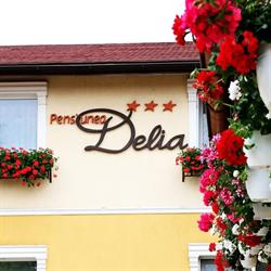 Pensiunea Delia, Timişoara
