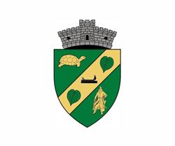 Primăria Comunei Dudeştii Noi