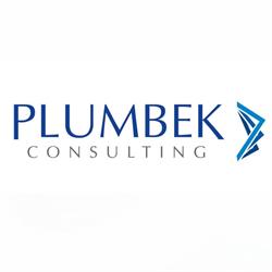 Plumbek Consulting, Carei