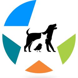 Star Vet, Bucureşti