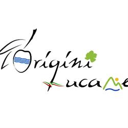 Origini Lucane, Bucureşti