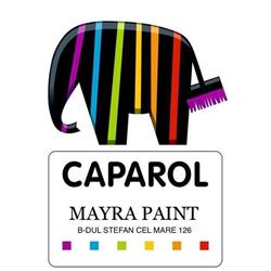 CAPAROL ORADEA MAYRA PAINT SRL, Oradea