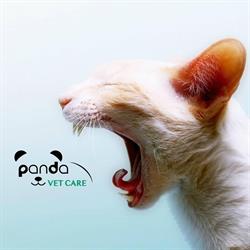 Panda Vet Care - Cat Friendly Clinic, Bucureşti