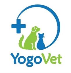 Cabinet Veterinar Yogo Vet Obor, Bucureşti
