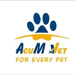 Acum Vet, Bucureşti