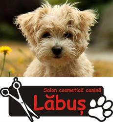 Salon Labus cosmetica canina, Timişoara
