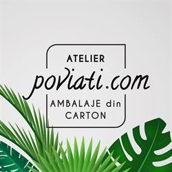 Atelier Poviati, Baia Mare
