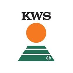 KWS, Bucureşti
